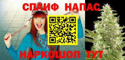 сатива Рыбинск