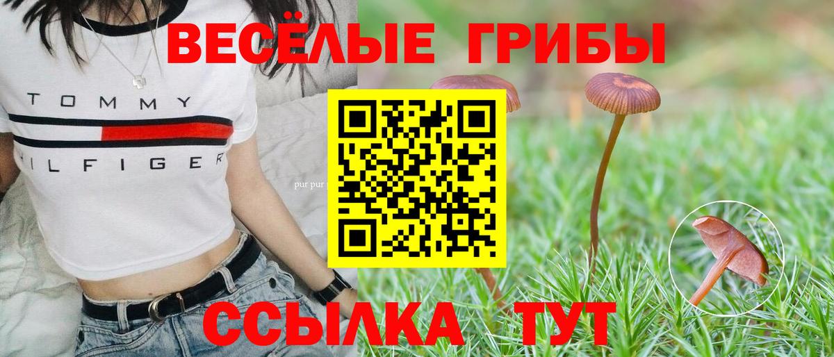 Галлюциногенные грибы мухоморы  Вход с VPN  Набережные Челны 