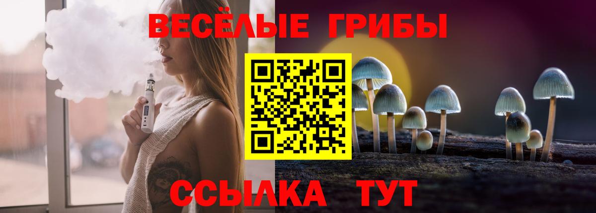 Псилоцибиновые грибы Psilocybe Набережные Челны