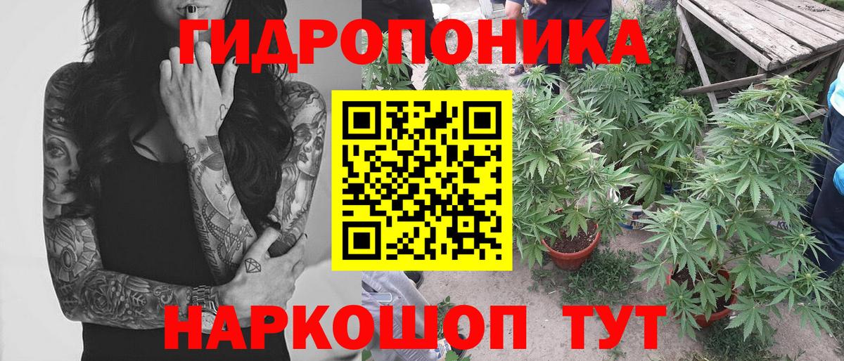 Канабис ГИДРОПОН  Вход с VPN  Шишки марихуана семена  Набережные Челны 